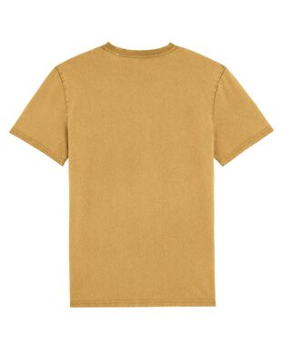 Rückseite G. Dyed Gold Ochre